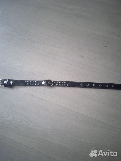 Ошейник удавка,кожаный ошейник, намордник