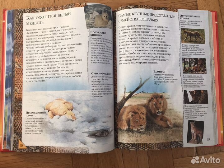 Энциклопедия для детей