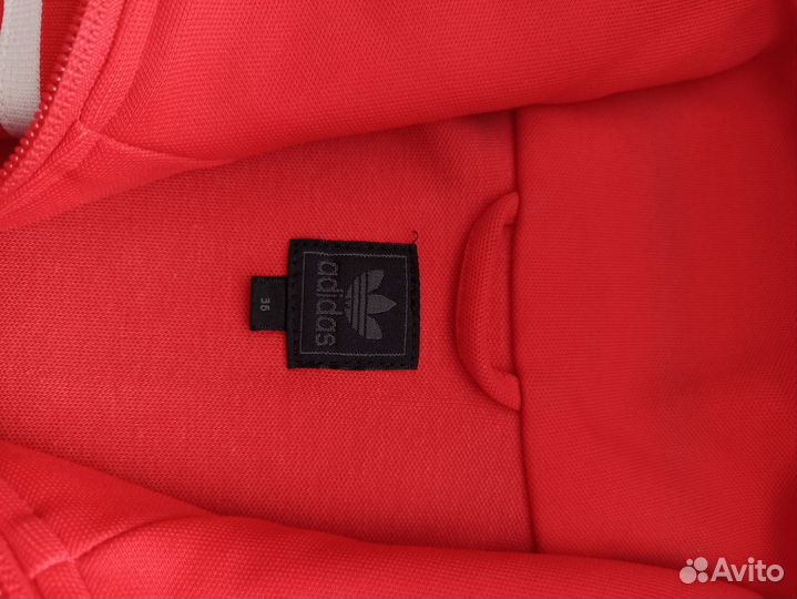 Купильник, ветровка, олимпийка