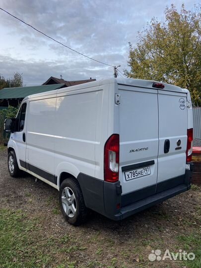 FIAT Ducato цельнометаллический, 2016