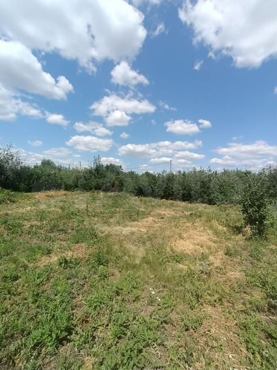 Участок 5 сот. (СНТ, ДНП)
