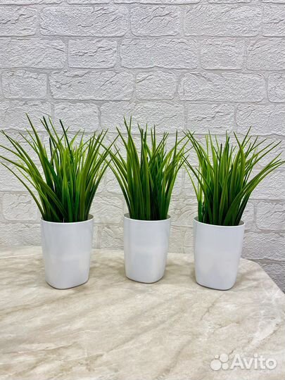 Искусственные растения для декора