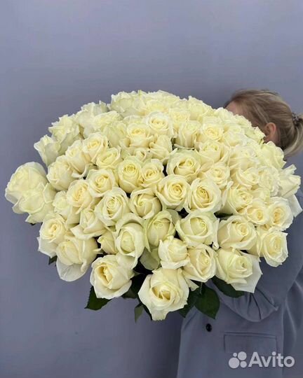 Розы Цветочки