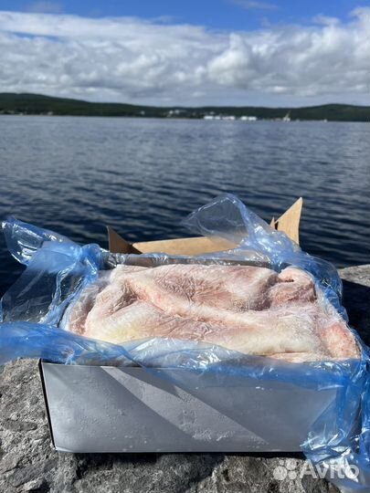 Крылья ската свежемороженые