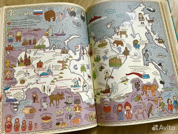 Пчёлы Пётр Соха Деревья, Без ума от акул