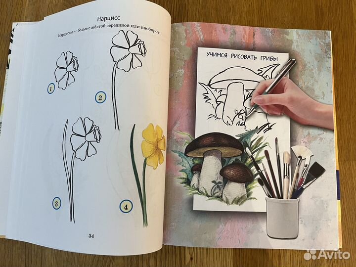 Учимся рисовать. Шалаева