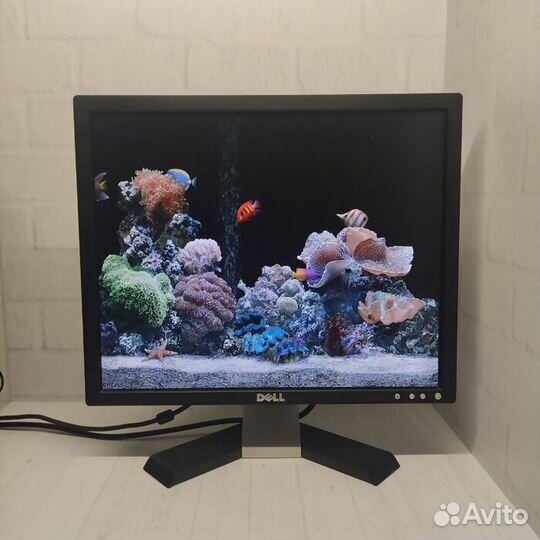 Монитор dell E197FPF (7422)