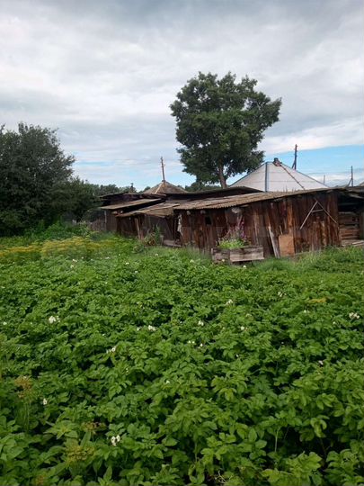 Дом 60,2 м² на участке 26 сот.