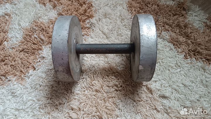 Гантеля 17 кг металл