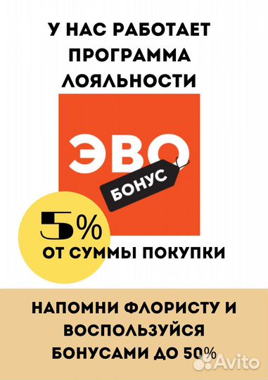 Фикус Комнатные растения Доставка растения