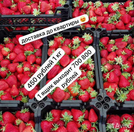 Клубника свежая ягода