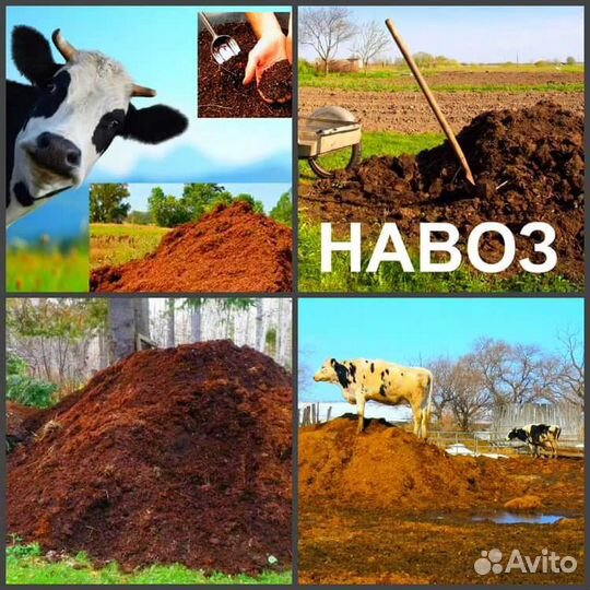 Навоз Перегной
