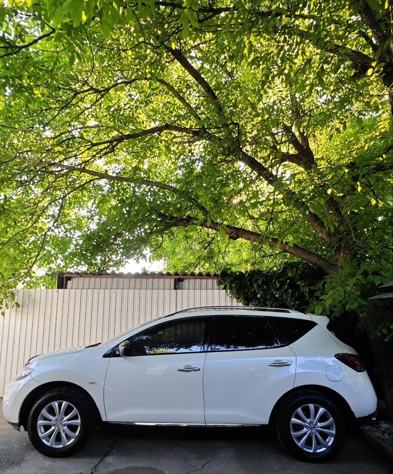 Nissan Murano: фото владельца