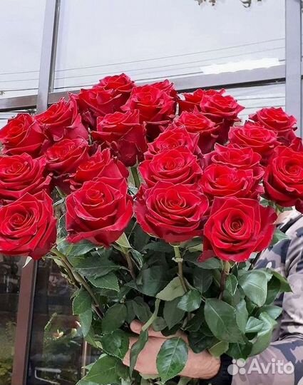 Высокие Высокие розы Гигантские розы Букеты Достав