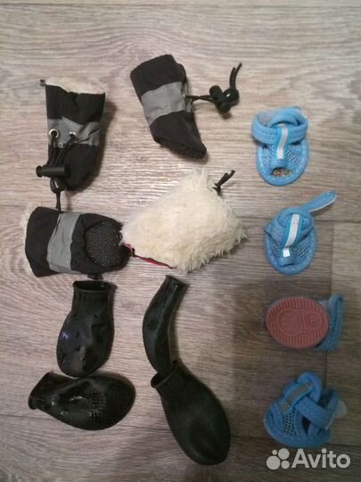 Обувь For my dog, амуниция и игрушки