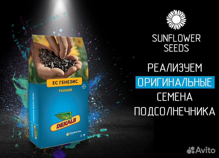 Семена гибридов подсолнечника Bayer (Байер)