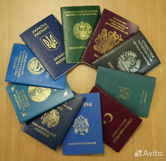 Миграционные услуги