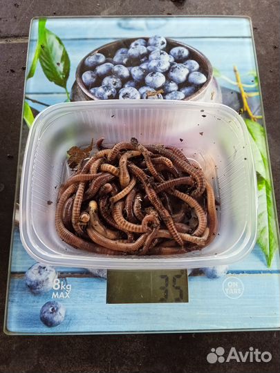 Рыбалка и отдых