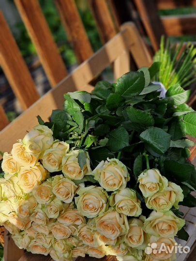 Букет из роз