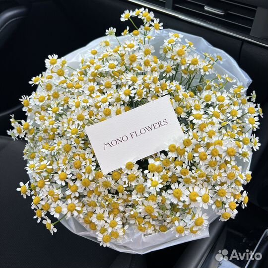 Букет из ромашек. Доставка