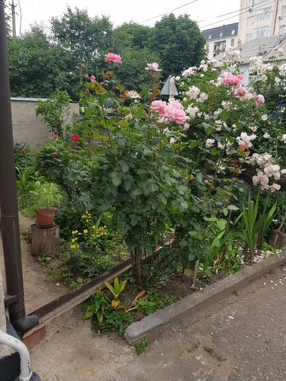 Дом 50 м² на участке 4 сот.