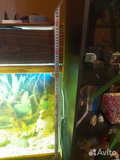 Аквариум