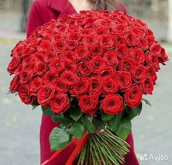 Высокие розы Гигантские розы 110