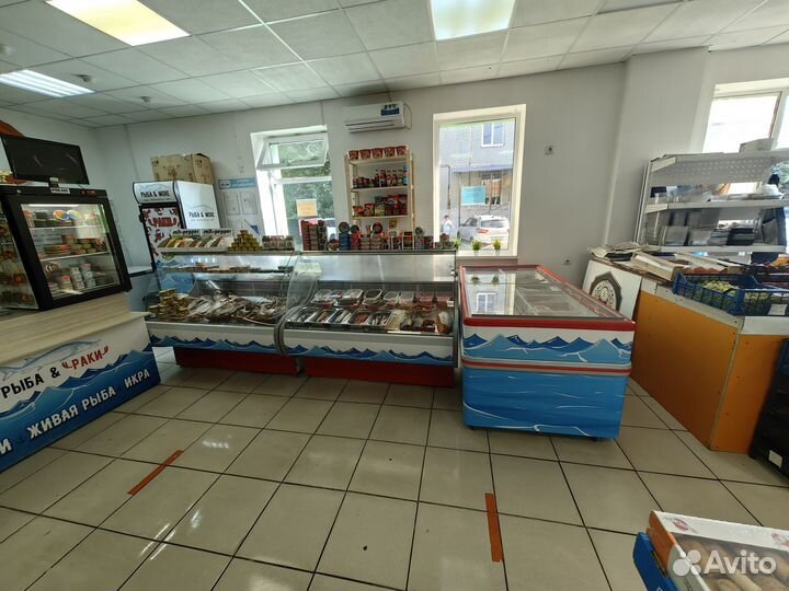 Магазин морепродуктов, пиво на рынке