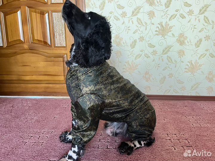 Дождевик комбинезон для собаки