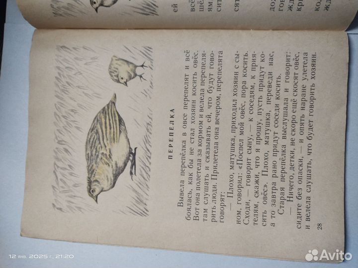 Лев Толстой Рассказы и басни