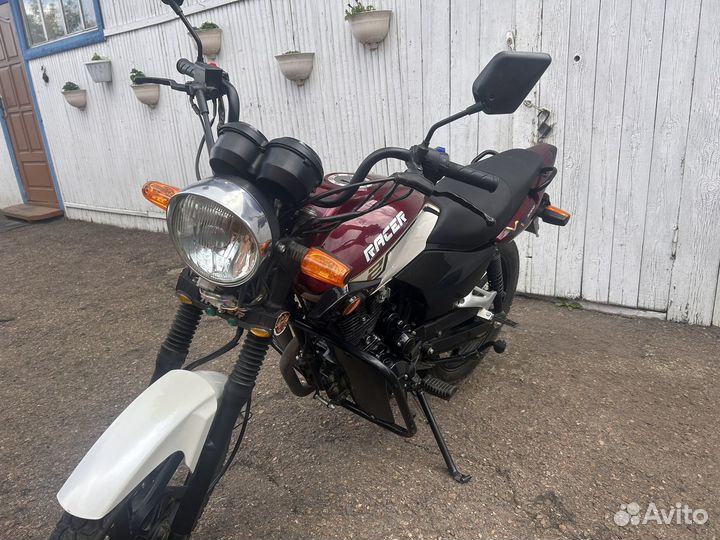 Racer RC150-23 Tiger