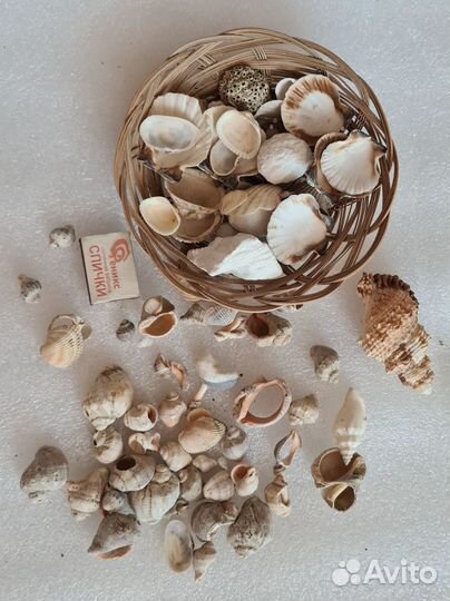 Декорации для аквариума