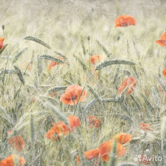 Дизайнерские фотообои 