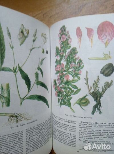 Лекарственные растения СССР и их применение