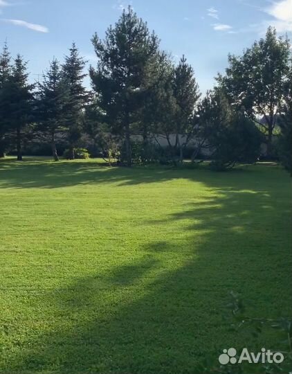 Рулонный газон под ключ