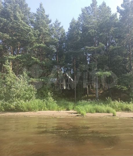 Дом 170 м² на участке 50 сот.