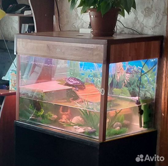 Аквариум