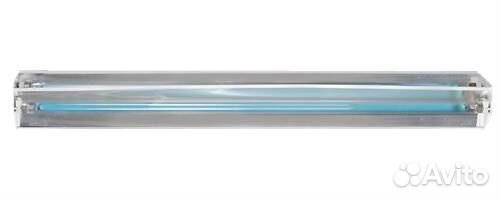 Прокат. Бесплатная доставка. Облучатель бактерицид