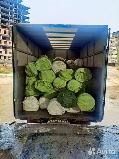 Грузоперевозки из Турции и Китая (Карго)