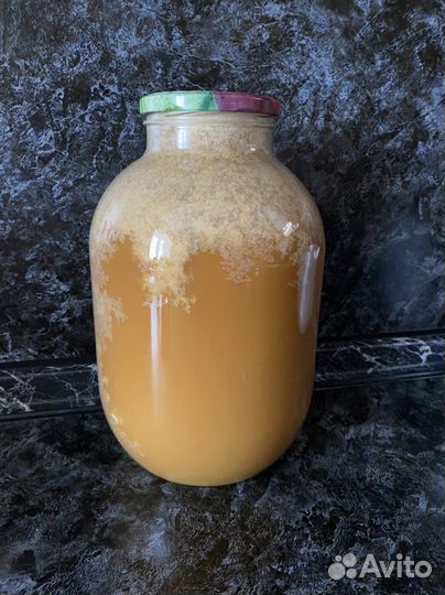 Мед гречишный 2022 года