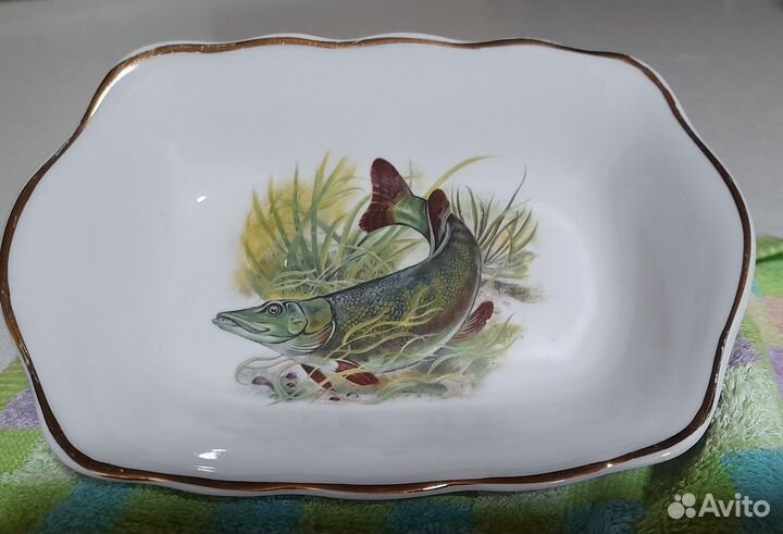 Фарфор коростень