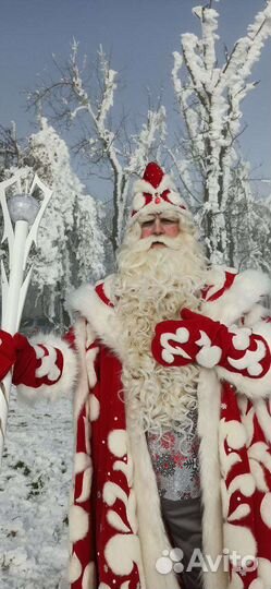 Дед мороз и снегурочка на дом