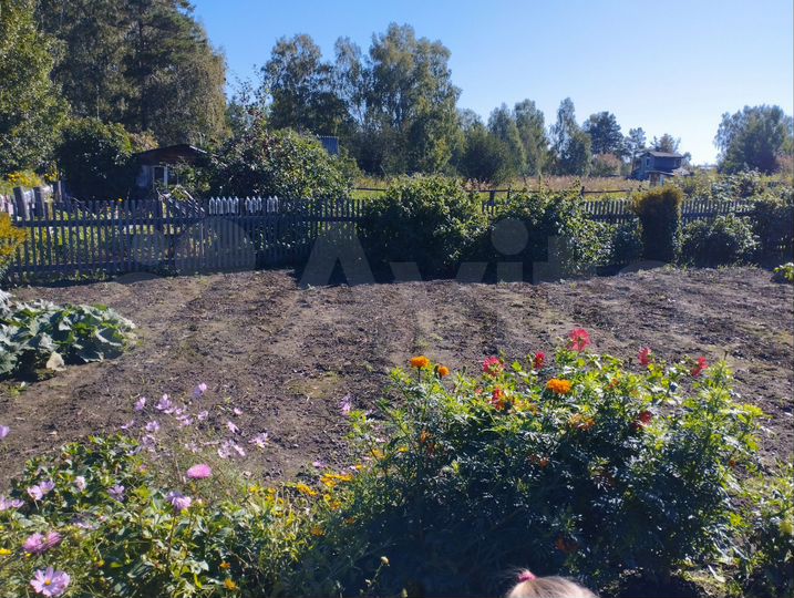 Участок 6,5 сот. (СНТ, ДНП)