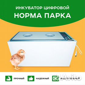 Инкубаторы для перепелов купить по низким ценам с доставкой