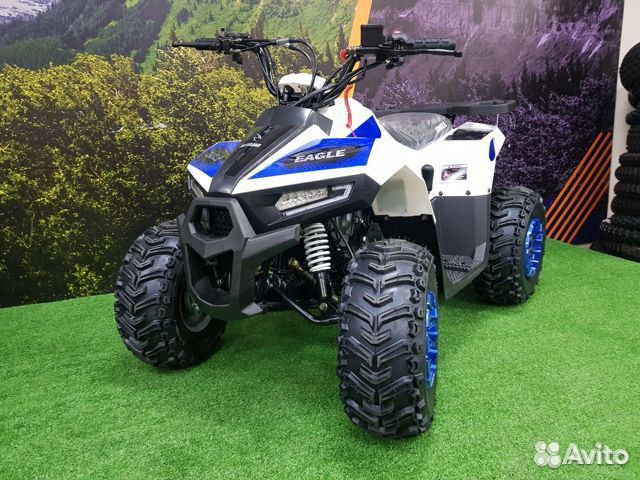 Motoland Eagle 110(2023)