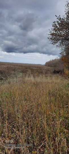 Участок 5,8 га (СНТ, ДНП)