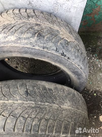 Gislaved Soft Frost 3 205/55 R16