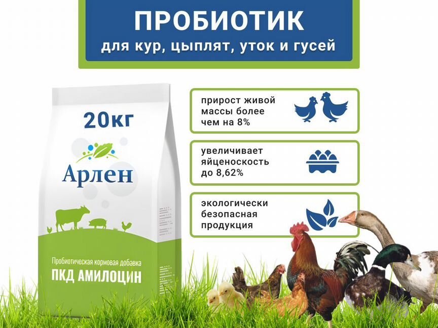 Пробиотическая кормовая добавка для кур несушек