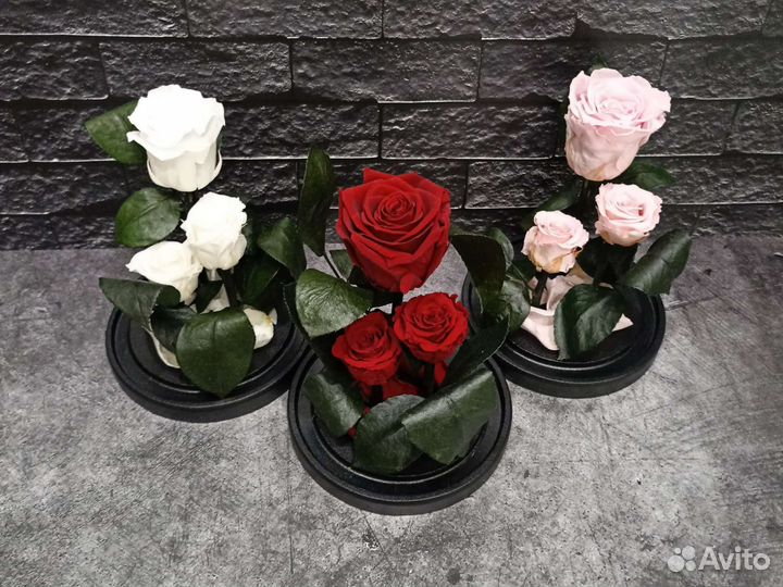 Роза в колбе