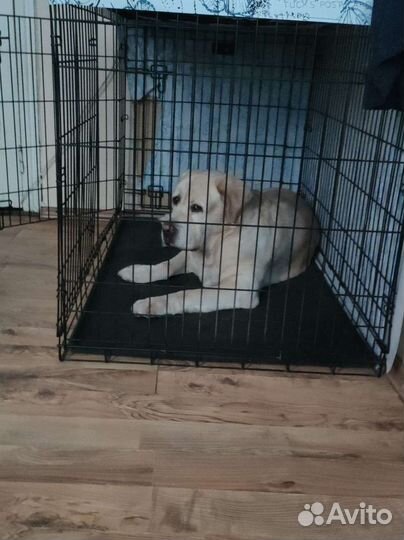 Клетка вольер для большой собаки бу